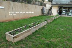 bacs-plantations