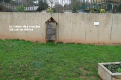 maison-a-insectes